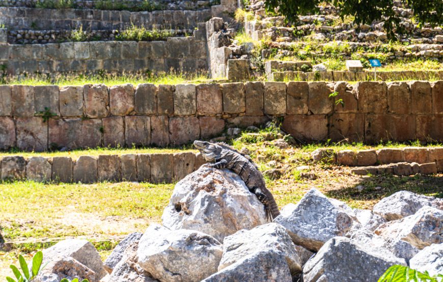 La magia de Uxmal: un viaje arqueológico, gastronómico, artístico y natural