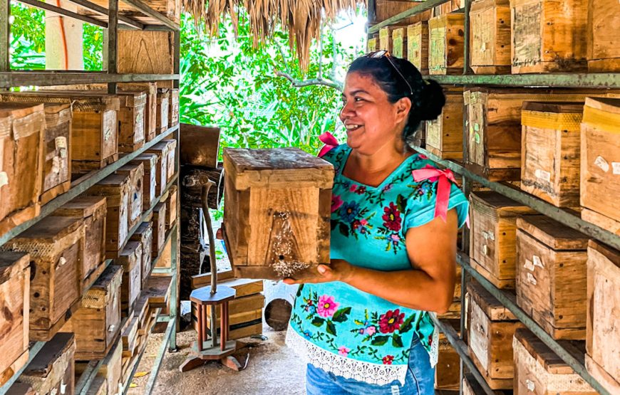 Tours responsables al día